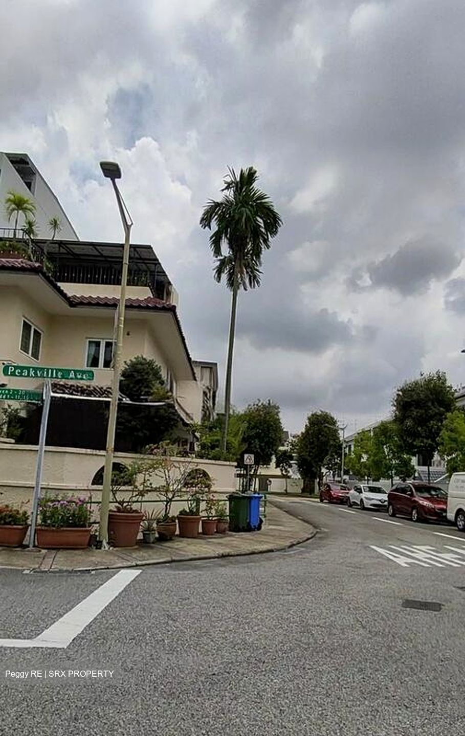 Peakview Estate (D16), Terrace #513531711
